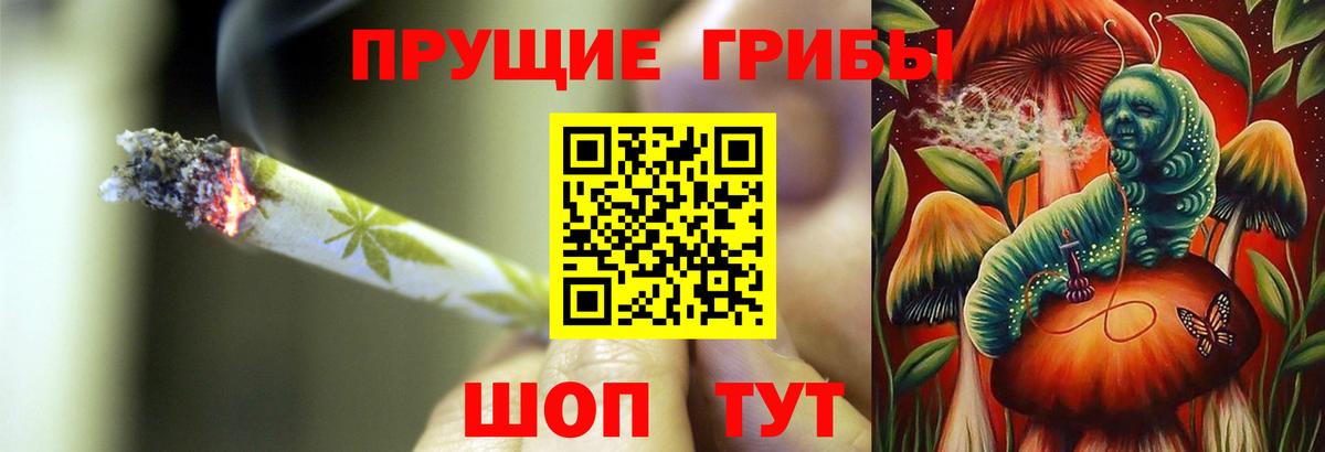 Галлюциногенные грибы MAGIC MUSHROOMS Киреевск